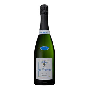 Stéphane Coquillette – Millésime 2021 Brut